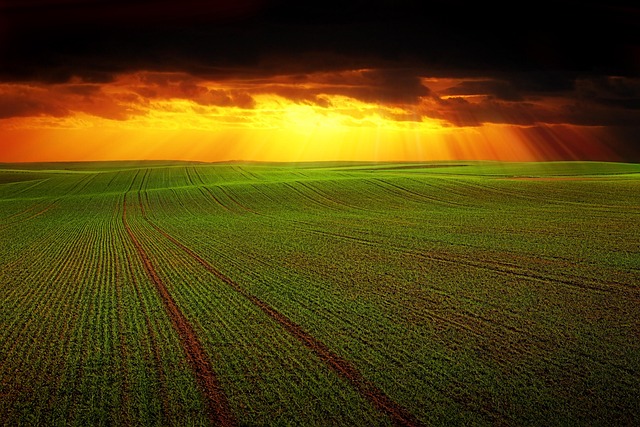field, landscape, free wallpaper, nature, full hd wallpaper, panorama, clouds, beautiful wallpaper, laptop wallpaper, hd wallpaper, evening atmosphere, heaven, cool backgrounds, wallpaper 4k, orange, 4k wallpaper 1920x1080, wallpaper hd, sunset, mac wallpaper, 4k wallpaper, background, lines, shine, magic, fields, windows wallpaper, desktop backgrounds, agriculture, free background, agricultural economics - 4K 8K wallpaper background by jplenio | Pix8K