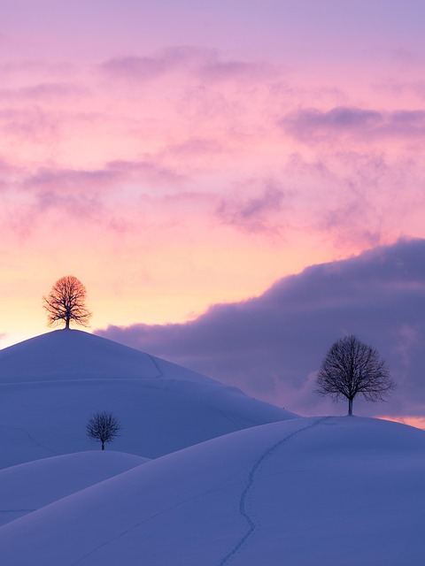 hills, winter, sunset, snow, trees, frost, wintry, cold, phone wallpaper, snow landscape, landscape, scenery, scenic, nature, clouds, sky, twilight, dusk, aesthetic wallpaper, iphone wallpaper - 4K 8K wallpaper background by susnpics | Pix8K