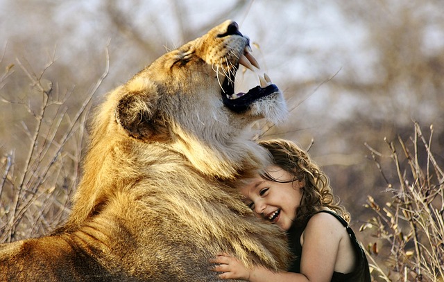 lion, roar, africa, animal, wildcat, wild, cat, fur, carnivores, predator, nature, mane, savannah, serengeti, friends, best friends, human and animal, child, hug, smile, happy, love, domestic animal, wild animal, teeth, fangs, big cat, safari, big game, lion's mane, together, laugh, fun, joke, funny, companionship, cuddle, human, girl, tickle, ticklish, emotion, pet, cute, tarzan, wilderness, photoshop, digital art, image editing, photomontage - 4K 8K wallpaper background by SarahRichterArt | Pix8K