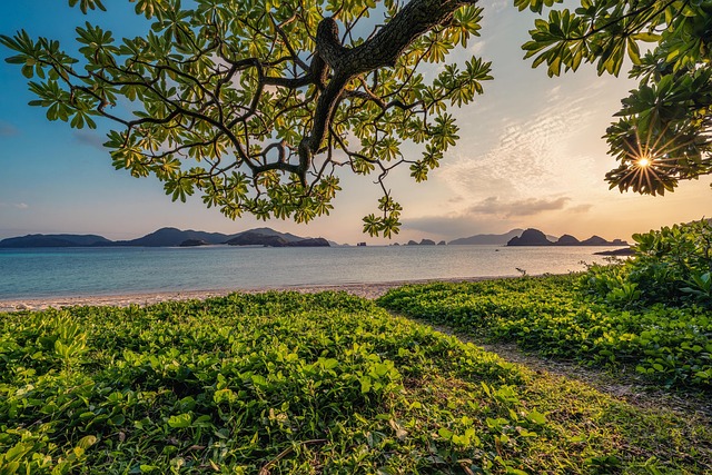 sunset, sand, beach, nature background, islands, leaf, subtropical, okinawa, japan, beautiful nature, landscape, hd wallpapers, hd wallpaper, nature, nature wallpaper - 4K 8K wallpaper background by Kanenori | Pix8K