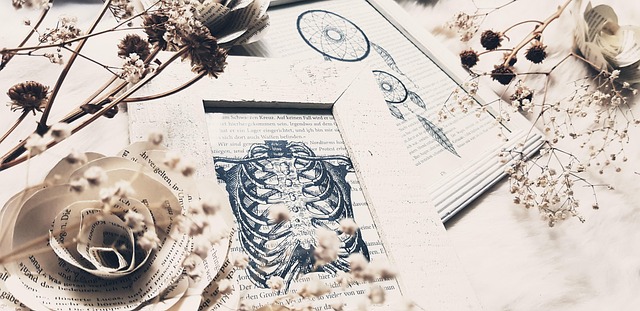 vintage, flower wallpaper, old, retro, rose flower, nostalgia, a book, write, books, flower background, book pages, read, deco, beautiful flowers, home decor, rose, flower, white, skeleton, bone, picture, picture frame, frame, dream catcher, setup, nature, interior design - 4K 8K wallpaper background by Mia_Teegan | Pix8K