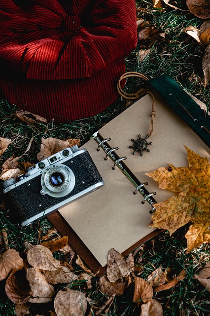 camera, hat, fallen leaves, retro, autumn, lawn, notebook, still life, vintage, retro camera, object shooting, autumn mood, cap, details, retro, retro, retro, retro, retro, autumn, autumn, notebook, still life, still life, still life - 4K 8K wallpaper background by Sunriseforever | Pix8K