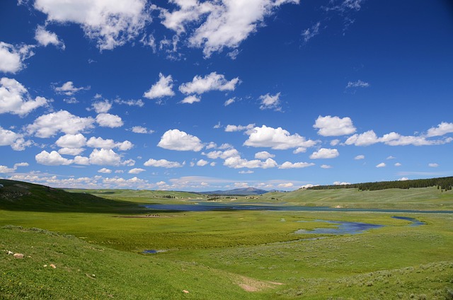 valley, field, landscape, meadow, scenery, scenic, nature, hayden valley, yellowstone national park, wyoming, usa, valley, field, field, field, field, field, scenery - 4K 8K wallpaper background by Steppinstars | Pix8K