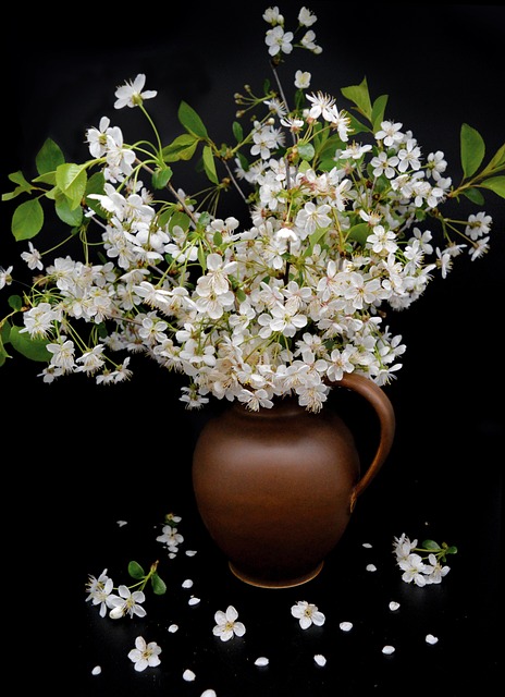 vase, still life, bouquet, white flowers, black background, cherry blossom, flower vase, beauty, bloom, petals, black life, black beauty, iphone wallpaper, flower wallpaper, vase, vase, still life, still life, still life, still life, still life, bouquet, bouquet, bouquet, black background, black background, black background, black background, cherry blossom, flower vase, flower vase - 4K 8K wallpaper background by neelam279 | Pix8K