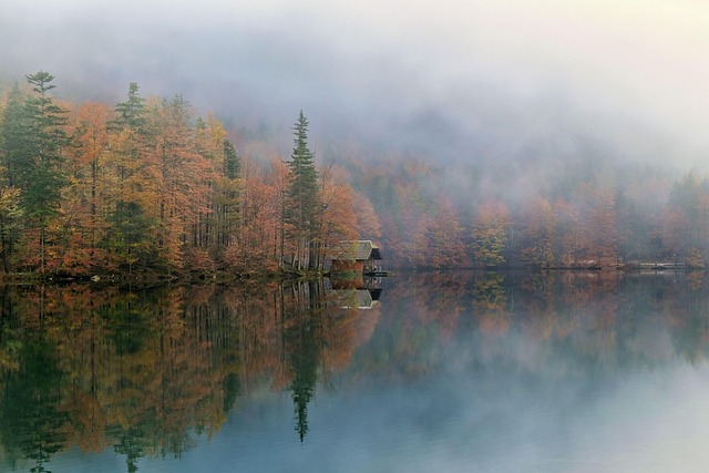 nature, landscape, fall, autumn picture, autumn landscape, autumn colors, autumn mood, autumnal, fog, lake, autumn leaves, foggy field - 4K 8K wallpaper background by shogun | Pix8K