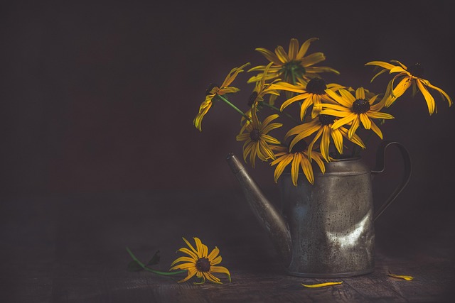 flowers, free background, 4k wallpaper, watering can, flower wallpaper, floral background, vintage, hd wallpaper, watering pot, coneflowers, yellow flowers, nature, petals, bloom, wallpaper 4k, laptop wallpaper, plant, wallpaper hd, still life, cool backgrounds, free wallpaper, beautiful wallpaper, windows wallpaper, dark, retro, flower background, mac wallpaper, old, antique, desktop backgrounds, 4k wallpaper 1920x1080, classic, nostalgia, beautiful flowers, full hd wallpaper, wallpaper, background - 4K 8K wallpaper background by Ylanite | Pix8K