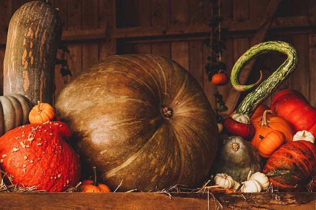 pumpkin, harvest, autumn, fall, season, pumpkin, pumpkin, harvest, autumn, autumn, autumn, autumn, fall, fall, fall, fall, fall - 4K 8K wallpaper background by suju-foto | Pix8K