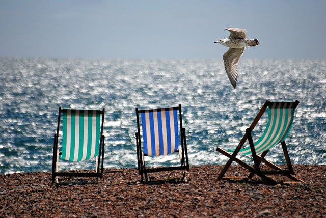 deckchairs, beach, sea, coast, shore, seashore, seaside, beach chairs, nature, folding chairs, seagull, gull, bird, flying - 4K 8K wallpaper background by Stevebidmead | Pix8K