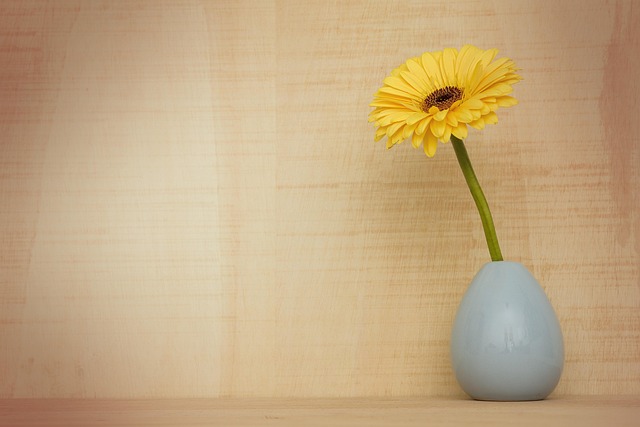 gerbera flower, decoration, beautiful flowers, flora, flower, still life, spring, season, blossom, yellow, flower background, nature, vase, brown spring, flower wallpaper, brown flower, brown life - 4K 8K wallpaper background by majacvetojevic | Pix8K