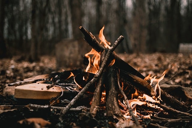 fire, flames, aesthetic wallpaper, mac wallpaper, beautiful nature, heat, embers, nature wallpaper, cool backgrounds, blaze, camping, orange, wallpaper hd, fire camp, campfire, nature background, wallpaper 4k, rustic, beautiful wallpaper, laptop wallpaper, free background, brown, 4k wallpaper, moody, windows wallpaper, nature, dark, dark aesthetic, aesthetic, hd wallpaper, woods, branches, 4k wallpaper 1920x1080, full hd wallpaper, forest, hiking, free wallpaper, desktop backgrounds, wallpaper - 4K 8K wallpaper background by MyriChagnon | Pix8K