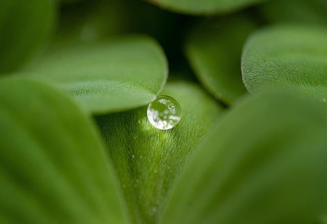background, landscape, wallpaper hd, 4k wallpaper 1920x1080, windows wallpaper, laptop wallpaper, wallpaper 4k, cool backgrounds, free wallpaper, free background, beautiful wallpaper, desktop backgrounds, photoshoot, mac wallpaper, photography, hd wallpaper, full hd wallpaper, 4k wallpaper, macro, closeup, raindrops - 4K 8K wallpaper background by LePhuong0401 | Pix8K