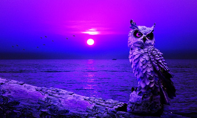 owl, bird, animal, nature, eyes, plumage, feather, wildlife, beautiful nature, raptor, portrait, predator, nature background, outdoors, prey, wild, ocean, springtime, nature wallpaper, colorful, hd wallpaper, cute image, cool background, 2020, vintage, retro, forest, landscape - 4K 8K wallpaper background by sunwise-studio | Pix8K