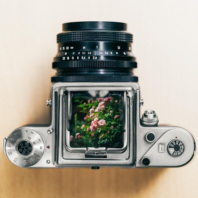 film, nature, camera, pentacon, flower wallpaper, flower background, medium format, flower, beautiful flowers, tumblr wallpaper - 4K 8K wallpaper background by brenkee | Pix8K