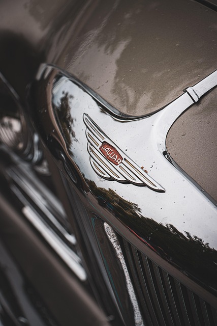 car, jaguar, logo, car wallpapers, vintage, old car, automobile, auto, vehicle, luxury, aesthetic, closeup - 4K 8K wallpaper background by leoleturbo | Pix8K
