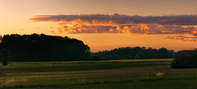 panorama, sunset, nature, free background, wallpaper hd, field, desktop backgrounds, cool backgrounds, grass, 4k wallpaper 1920x1080, mac wallpaper, laptop wallpaper, wallpaper 4k, landscape, eve, heaven, full hd wallpaper, dusk, fall, scenic, summer, free wallpaper, windows wallpaper, beautiful wallpaper, mood, atmospheric, silhouette, romantic, 4k wallpaper, hd wallpaper, background, desktop, background image - 4K 8K wallpaper background by jplenio | Pix8K