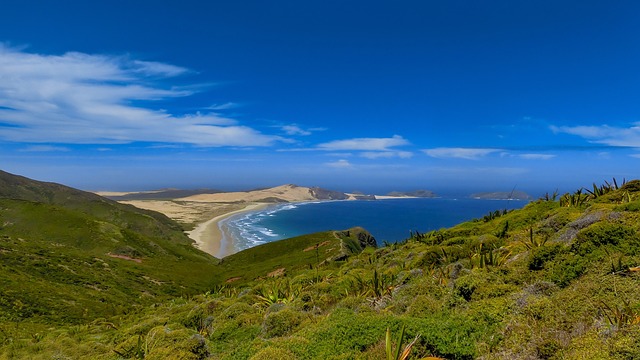 landscape, beach, coast, wallpaper 4k, mac wallpaper, wallpaper hd, sea, nature, windows wallpaper, atlantic, desktop backgrounds, beach landscape, wave, grass, rock, heaven, ocean, surf, lonely, 4k wallpaper, sand dunes, summer, hd wallpaper, beautiful wallpaper, grasses, bay, new zealand, cool backgrounds, scrub, water, sun, free background, karg, blue water, natural wonders, dream beach, wild, vacations, memory, free wallpaper, laptop wallpaper, blue, shape, north island, unusual, seaside, 4k wallpaper 1920x1080, photography, clouds, look nice, wanderlust, background, screen background, landscape photography, green, yellow, golden, full hd wallpaper, colorful - 4K 8K wallpaper background by 2780243 | Pix8K