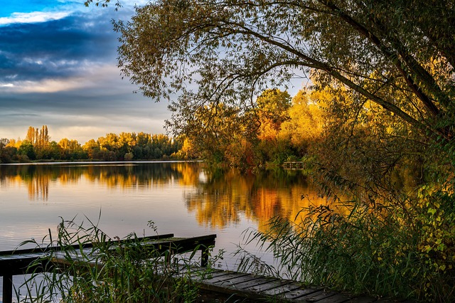 lake, leaves, forest, fall, nature, cool backgrounds, mac wallpaper, full hd wallpaper, autumn leaves, autumn colors, 4k wallpaper 1920x1080, fall season, free background, pond, windows wallpaper, water, wallpaper hd, riverbank, 4k wallpaper, eve, sunset, sunrise, dusk, clouds, background, desktop backgrounds, hd wallpaper, beautiful wallpaper, laptop wallpaper, wallpaper 4k, free wallpaper, landscape - 4K 8K wallpaper background by BernhardJaeck | Pix8K