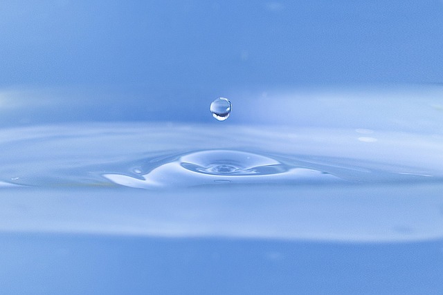 water drop, toilet, nature, gout, water, fresh, rain, bokeh, water drop, water drop, toilet, toilet, toilet, water, water, water, water, water, rain, rain - 4K 8K wallpaper background by fernandozhiminaicela | Pix8K