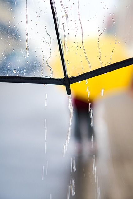 rainy day, umbrella, walk, rain, weather, nature, raindrop, drops, water, rain shower, wet, rainy weather, colour, girl, waterdrop, rainy, texture - 4K 8K wallpaper background by Anrita1705 | Pix8K