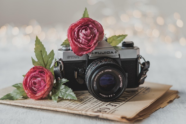camera, vintage, flower background, photography, nature, retro, old, antique, old newspaper, flowers, rose flower, rose, bokeh, rose wallpaper, gray camera, gray wallpaper, gray photography, gray vintage, beautiful flowers, gray retro, gray newspaper, gray old, flower wallpaper, gray bokeh - 4K 8K wallpaper background by Ylanite | Pix8K