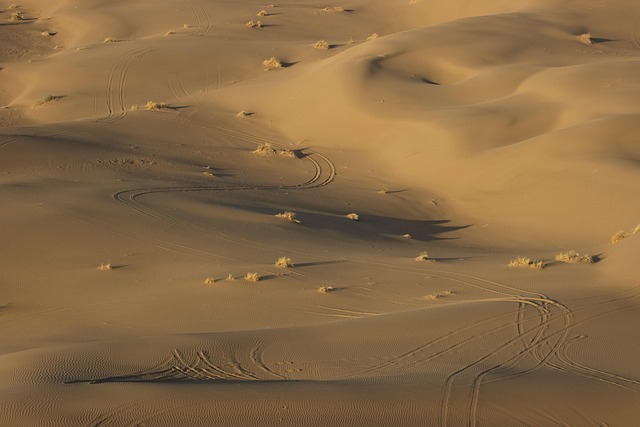 desert, dunes, sand, isfahan province, tourism, hill, iran, travel, nature, minimal, landscape, canon photography, mostafa meraji, copy left, high quality, pixabay image, natural attraction, tourist attractions, dune, exploration, hd wallpaper, vegetation - 4K 8K wallpaper background by mostafa_meraji | Pix8K