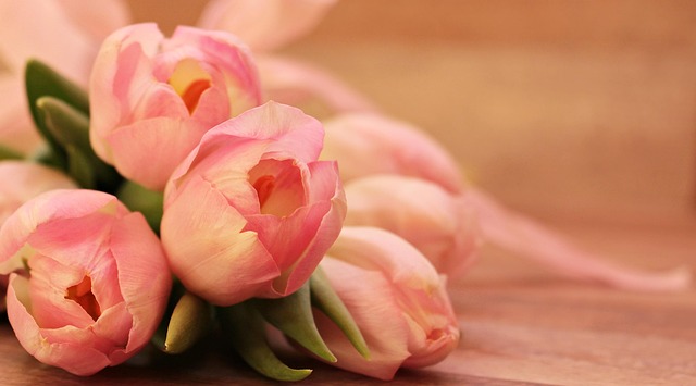 flowers, tulips, cultivated tulips, spring, blossoms, nature, early bloomer, soft pink, beautiful flowers, happy mothers day, tender, spring flower, beginning of spring, flora, flower wallpaper, beauty, romance, floral greeting, ornamental flower, flower background, bouquet of flowers - 4K 8K wallpaper background by NoName_13 | Pix8K