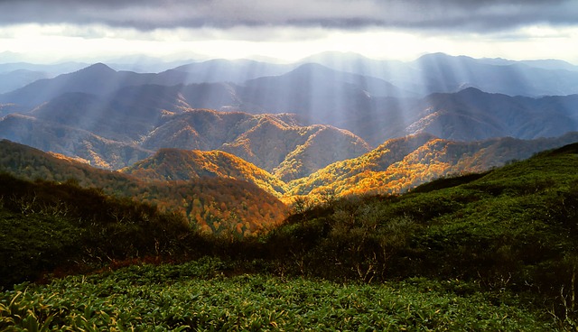 autumn, mountains, shirakami-sanchi, forest, hills, landscape, sunbeams, sunlight, mountain ranges, mountainous, mountain landscape, nature, rural, countryside, autumn, autumn, autumn, mountains, mountains, mountains, mountains, mountains, forest, forest, forest, forest, landscape - 4K 8K wallpaper background by Kanenori | Pix8K