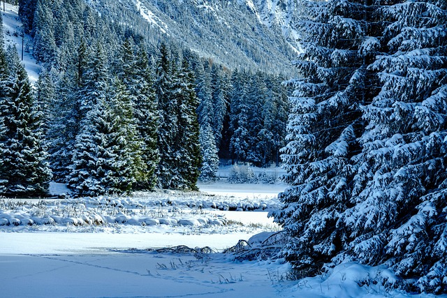 winter, snow, mountains, winter landscape, snow landscape, covered in snow, ice cream, frozen, nature, winter, winter, winter, winter, winter, snow, snow, winter landscape, nature - 4K 8K wallpaper background by suju-foto | Pix8K