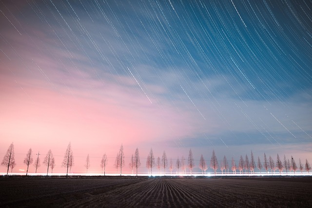 trees, laptop wallpaper, dusk, full hd wallpaper, 4k wallpaper 1920x1080, outdoors, beautiful wallpaper, wallpaper 4k, starlight, korea, windows wallpaper, nature, free wallpaper, road, cool backgrounds, stars, desktop backgrounds, 4k wallpaper, free background, mac wallpaper, wallpaper, wallpaper hd, hd wallpaper, space wallpaper - 4K 8K wallpaper background by Choi-Kang | Pix8K
