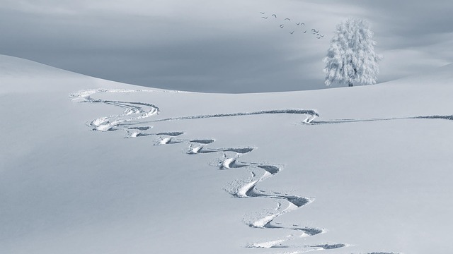 wintry, nature, snow, backcountry skiiing, slopes, sky slopes, white, snow landscape, ski tracks, winter, cold, tree, landscape, winter magic, snow hill, winter dream, snow tracks, mountain landscape - 4K 8K wallpaper background by kinkate | Pix8K