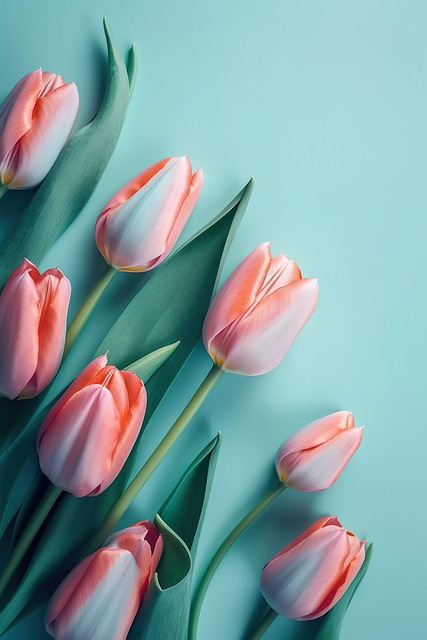 ai generated, beautiful wallpaper, flowers, tulips, phone wallpaper, blossom, flower background, bloom, flower wallpaper, floral background, beautiful flowers, botany, nature, hd wallpaper, spring, background - 4K 8K wallpaper background by u_6drpyk8vky | Pix8K