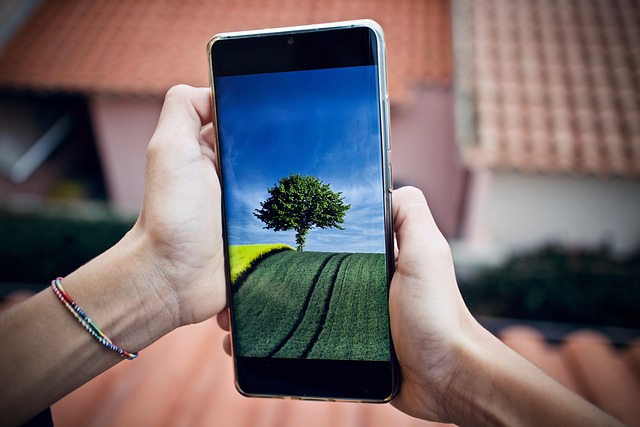 mobile phone, cellphone, phone, communication, technology, smartphone, the internet, message, call, touchscreen, display, device, nature, modern, digital, screen, tree - 4K 8K wallpaper background by sweetlouise | Pix8K