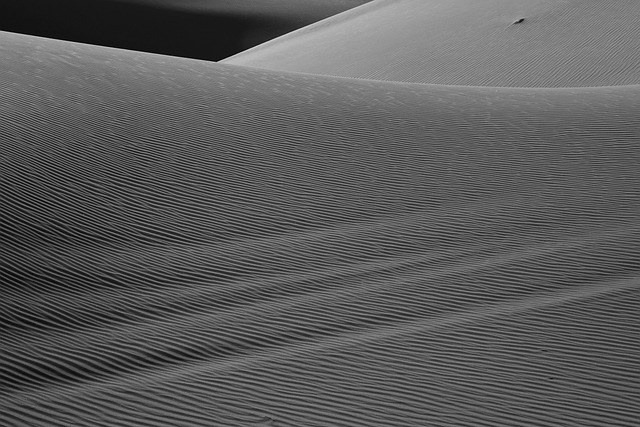 desert, sand, dunes, minimal, nature, black and white, pattern, shadow, texture, landscape, texture, texture, texture, texture, texture - 4K 8K wallpaper background by mokhaladmusavi | Pix8K