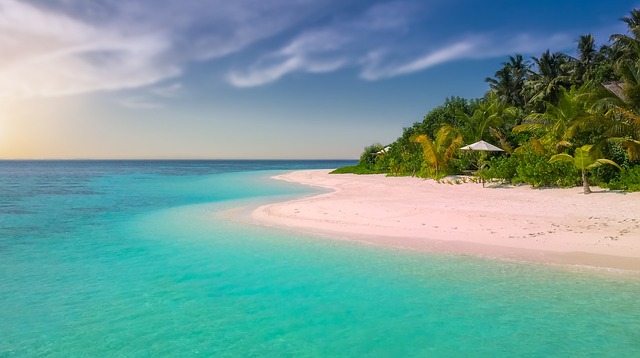 beach, paradise, island, palm trees, ocean, romantic, sunset, seascape, sea, nature, summer, bathing, holiday, sandy beach, vacations - 4K 8K wallpaper background by Walkerssk | Pix8K