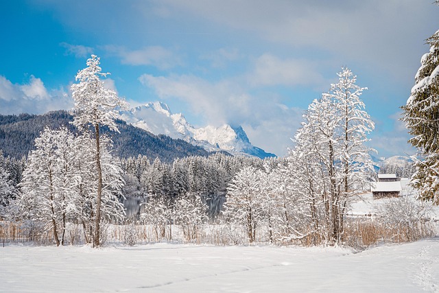 winter landscape, 4k wallpaper, winter magic, free background, cool backgrounds, new zealand, covered in snow, laptop wallpaper, hd wallpaper, beautiful wallpaper, forest, trees, snow landscape, desktop backgrounds, mac wallpaper, cold, wallpaper hd, windows wallpaper, free wallpaper, wallpaper 4k, nature, full hd wallpaper, mountains, 4k wallpaper 1920x1080, background, snowy, wintry - 4K 8K wallpaper background by alandsmann | Pix8K