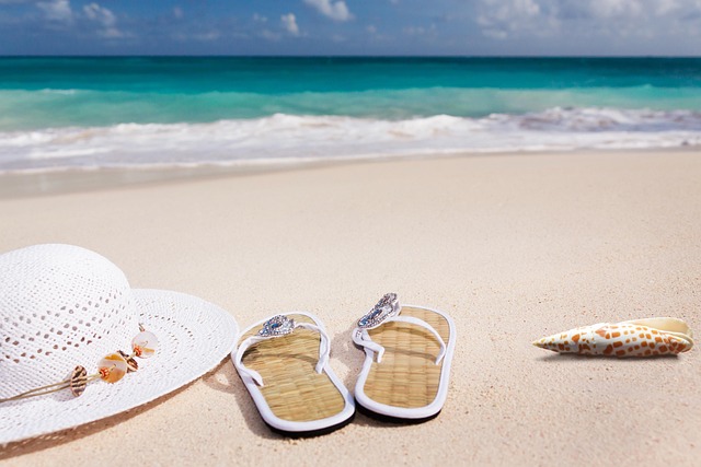 beach, sand, sea, sandy beach, vacations, nature, caribbean, coast, summer, coneflower, flip-flop, shell - 4K 8K wallpaper background by stux | Pix8K