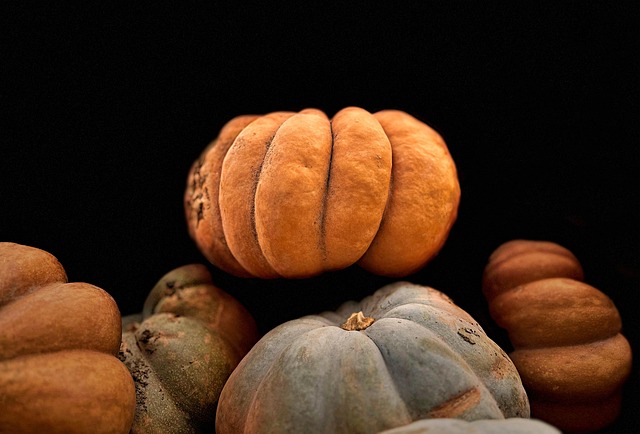 pumpkins, to crush, hd wallpaper, wallpaper hd, free wallpaper, 4k wallpaper, mac wallpaper, vegetables, food, windows wallpaper, nutrition, falls, halloween, full hd wallpaper, laptop wallpaper, wallpaper 4k, beautiful wallpaper, wallpaper, cool backgrounds, 4k wallpaper 1920x1080, desktop picture, desktop backgrounds, free background, hintergrundsbild, yk, Geneva, Bernex, Switzerland - 4K 8K wallpaper background by ykaiavu | Pix8K