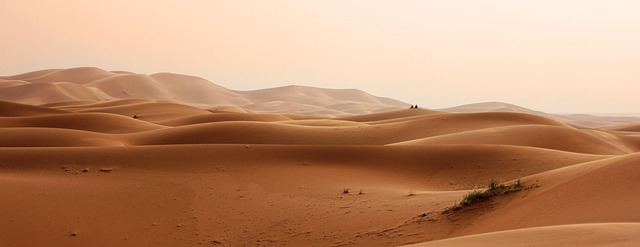 desert, wallpaper 4k, beautiful nature, free background, morocco, hd wallpaper, nature background, wallpaper hd, dunes, full hd wallpaper, sand, cool backgrounds, landscape, windows wallpaper, sand dunes, beautiful wallpaper, free wallpaper, 4k wallpaper, nature wallpaper, nature, sahara, africa, mac wallpaper, desktop backgrounds, background, laptop wallpaper, 4k wallpaper 1920x1080, wallpaper - 4K 8K wallpaper background by GregMontani | Pix8K