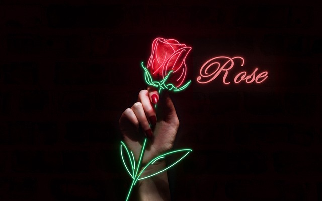 rose, cool backgrounds, laptop wallpaper, beautiful wallpaper, hd wallpaper, floral background, neon, inscription, 4k wallpaper, hand, background, windows wallpaper, free wallpaper, rose flower, mac wallpaper, 4k wallpaper 1920x1080, free background, wallpaper 4k, full hd wallpaper, wallpaper hd, photo montage, desktop backgrounds, atmosphere, black rose, black neon - 4K 8K wallpaper background by Sir_Fomi | Pix8K
