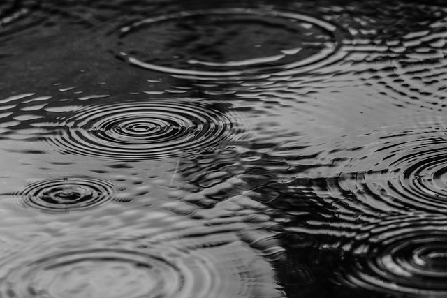 puddle, nature, water, rain, splash, monochrome - 4K 8K wallpaper background by Photorama | Pix8K