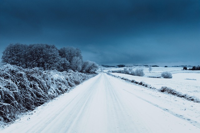 winter, snow, hd wallpaper, free wallpaper, landscape, beautiful nature, sky, full hd wallpaper, clouds, blue, snow landscape, laptop wallpaper, nature, gloomy, wallpaper 4k, wallpaper, nature background, the background, mac wallpaper, 4k wallpaper 1920x1080, cool backgrounds, frosty, snowy, view, beautiful wallpaper, image, nature wallpaper, blue sky, winter magic, trees, desktop backgrounds, sky background, cold, free background, pictures, 4k wallpaper, windows wallpaper, wallpaper hd, photography - 4K 8K wallpaper background by Edyttka1388 | Pix8K
