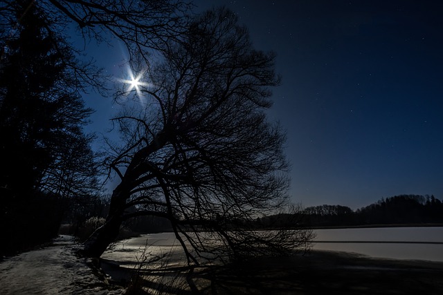 stars, 4k wallpaper, moon, night sky, night, heaven, good night, 4k wallpaper 1920x1080, beautiful wallpaper, free background, blue, cold, starry sky, nature, desktop backgrounds, background, desktop background, cool backgrounds, wallpaper hd, mystical, windows wallpaper, tree, silhouette, contrasts, vineyard, night photography, free wallpaper, full hd wallpaper, long exposure, laptop wallpaper, landscape photography, mac wallpaper, wallpaper 4k, photography, hd wallpaper, photographer, tree trunk - 4K 8K wallpaper background by 2780243 | Pix8K