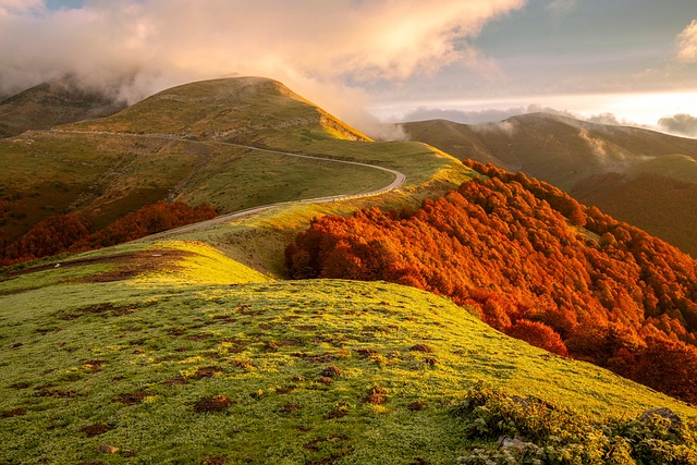 autumn, free wallpaper, mountain, landscape, background, mac wallpaper, cool backgrounds, windows wallpaper, full hd wallpaper, hd wallpaper, beautiful, 4k wallpaper, cloud, countryside, environment, beautiful wallpaper, forest, laptop wallpaper, grass, meadow, morning, free background, desktop backgrounds, nature, outdoor, wallpaper 4k, peak, wallpaper hd, 4k wallpaper 1920x1080, scenic - 4K 8K wallpaper background by Leolo212 | Pix8K