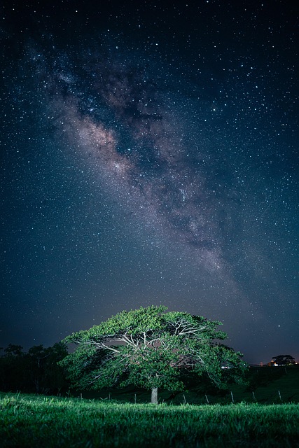 tree, rain, milky way, night, nature, nightscape, galaxy, space, landscape, iphone wallpaper, aesthetic wallpaper, phone wallpaper, iphone wallpaper, iphone wallpaper, iphone wallpaper, iphone wallpaper, iphone wallpaper - 4K 8K wallpaper background by RonaldPlett | Pix8K