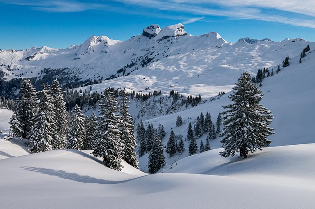winter, hochybrig, pre-alps, swiss alps, switzerland, nature, snow, mountains, heaven, powder snow, inner switzerland, summit, fir trees, panorama, snow landscape, mythen region, winter magic, landscape, winter landscape, snow sports, ski resorts, winter, winter, winter, winter, swiss alps, switzerland, switzerland, switzerland, switzerland, switzerland, snow, snow, snow, winter landscape, winter landscape - 4K 8K wallpaper background by Sonyuser | Pix8K