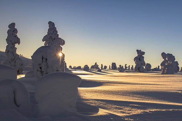 lapland, winter, snow, landscape, wintry, finland, cold, snowy, snow landscape, winter mood, nature, trees, sunshine, winter dream, snow load, frost, snow covered, lapland, lapland, winter, snow, finland, finland, finland, finland, finland - 4K 8K wallpaper background by adege | Pix8K