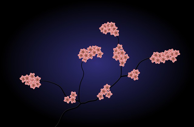 hd wallpaper, beautiful nature, background, free background, beautiful flowers, wallpaper 4k, mac wallpaper, cherry, blossom, 4k wallpaper 1920x1080, nature wallpaper, wallpaper hd, spring, windows wallpaper, flowers, tree, landscape, full hd wallpaper, cool backgrounds, laptop wallpaper, flower wallpaper, 4k wallpaper, nature background, desktop backgrounds, beautiful wallpaper, free wallpaper, flower background, nature, dark - 4K 8K wallpaper background by Decster1 | Pix8K