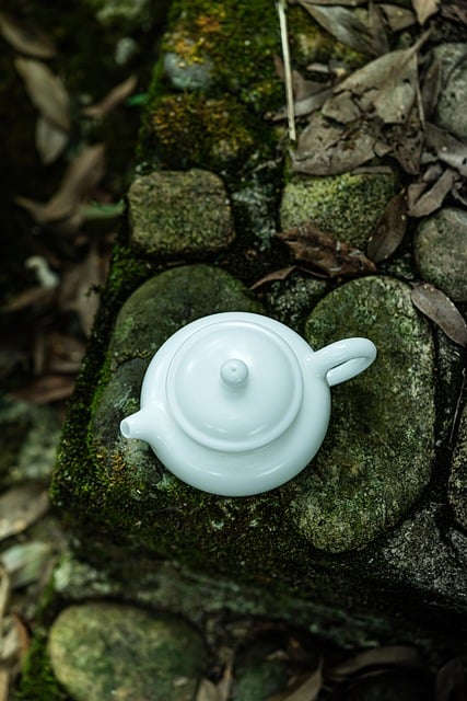 white porcelain, teapot, ceramic teaware, chinese teaware, tea culture, minimal style, fine craftsmanship, natural stone, green foliage, winter season, undulating leaves, garden decor, rustic style, traditional craft, outdoor setting, artistic photography, mysterious atmosphere, light decor - 4K 8K wallpaper background by ahuanzuishuai111 | Pix8K