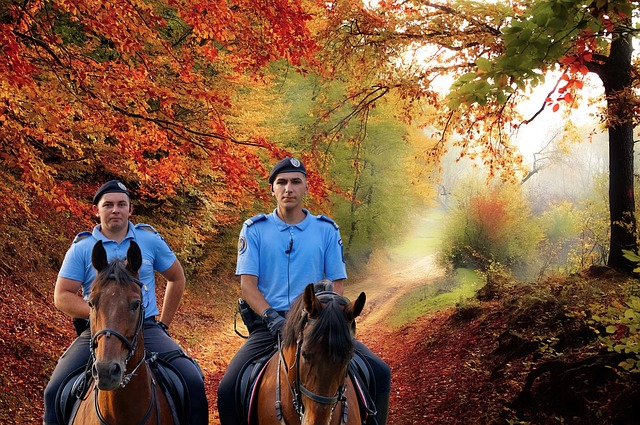 forest, hd wallpaper, rangers, the autumn, windows wallpaper, nature wallpaper, laptop wallpaper, landscape, 4k wallpaper 1920x1080, desktop backgrounds, free wallpaper, beautiful wallpaper, leaves, 4k wallpaper, trees, free background, mac wallpaper, nature background, people, bobby, beautiful nature, wallpaper hd, patrol, riding, cool backgrounds, wallpaper 4k, repent, nature, uniforms, animated, full hd wallpaper, wallpaper, fantasy - 4K 8K wallpaper background by Surprising_Media | Pix8K