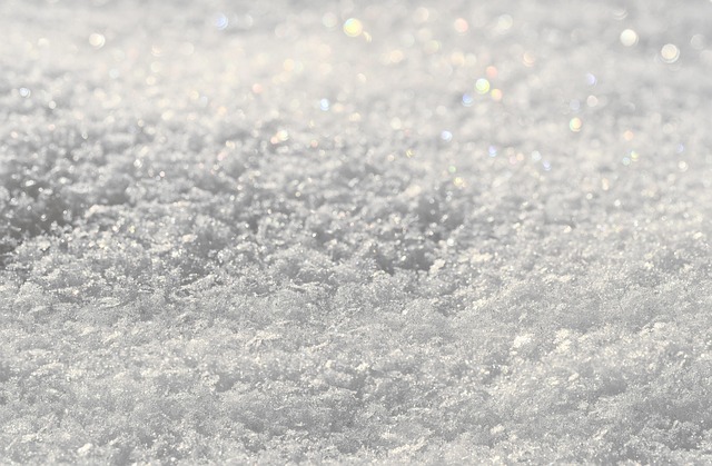 snow, full hd wallpaper, hd wallpaper, cool backgrounds, free wallpaper, winter, free background, wallpaper hd, 4k wallpaper 1920x1080, cold, frost, wallpaper 4k, mac wallpaper, desktop backgrounds, wintry, christmas, beautiful wallpaper, nature, laptop wallpaper, windows wallpaper, close up, 4k wallpaper, background - 4K 8K wallpaper background by Bru-nO | Pix8K